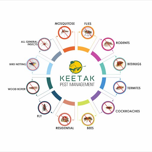 Keetak Pest Management