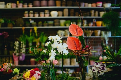 Flower Shops